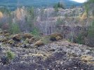 Resized_20211023_180335.jpg