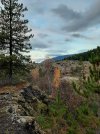 Resized_20211023_180801.jpg