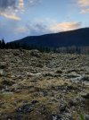 Resized_20211023_180736.jpg