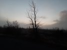 Resized_20211024_074711.jpg