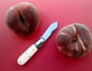 GEC25-peches.jpg
