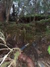 Resized_20211025_165253.jpg