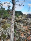 Resized_20211023_173856.jpg