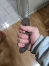 PXL_20211026_142129432.jpg