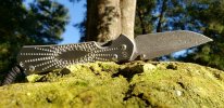 Chris Reeve Large Sebenza 31 - 1.jpg