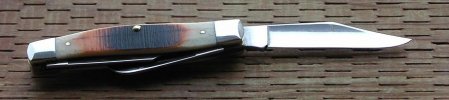 2014 Case CV 6375 Amber Sawcut Bone 2 .jpg