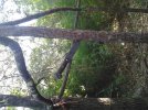 20120425_181055.jpg