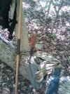 IMG-20120412-00114.jpg