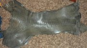 IMG_20120422_232137.jpg