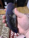 IMG_1541.jpeg IMG_1541.jpeg