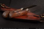 AI-Ironwood-Pair-04.jpg