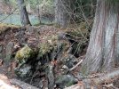 Resized_20211026_155052.jpg