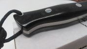 KIMG0797.JPG