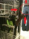 dishwasher.jpg
