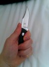 inhand.jpg