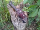 20120430_073754.jpg