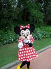100_0411.jpg