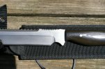 RARE BUSSE KNIVES 014.jpg RARE BUSSE KNIVES 014.jpg