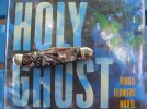 sandford.holyghost.jpg