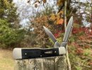 Gunstock2.JPG