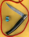 Black Horn 1.jpg