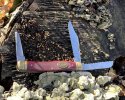 Schrade H889-5.JPG
