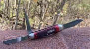 bloodred29 1.JPG