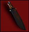 Walrus-Sheath.jpg