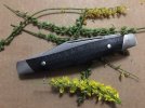 Buck_IX21-melillot.jpg