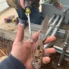 03011869-F008-4704-B4F2-5385B5FBE570.jpeg
