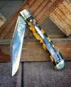 GEC_48_tortoise.jpg