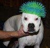 misc & wyatt's bday 007.jpg
