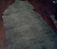 IMG_20120509_214011.jpg