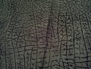 IMG_20120509_213931.jpg