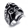 Titanium Skull, Steel ring.jpg Titanium Skull, Steel ring.jpg