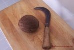 Sickle use 1.jpg