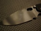 DSC01100.jpg
