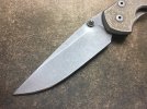 crk1.jpg