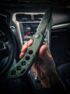 datolamic.bf.3.jpeg