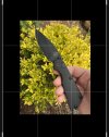 63A0D555-C3E5-48A6-B9C2-5BCE71F3F3F5.jpeg