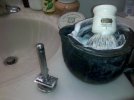 sotd.jpg