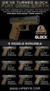 FDE-Glock.jpg