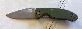green tenacious 1.jpg