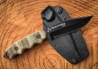 Buck 245.jpg