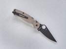 Spydie 3.jpg