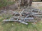 29 woodpile2.JPG