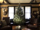 christmas tree - 1.jpeg