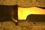 DSC03819.jpg