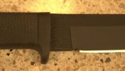 DSC03831.jpg