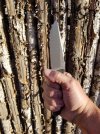 unnamed (52).jpg